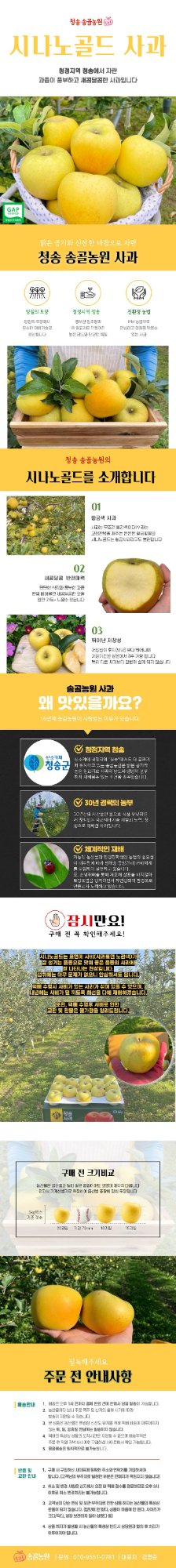시나노골드 정품사과 사진 1